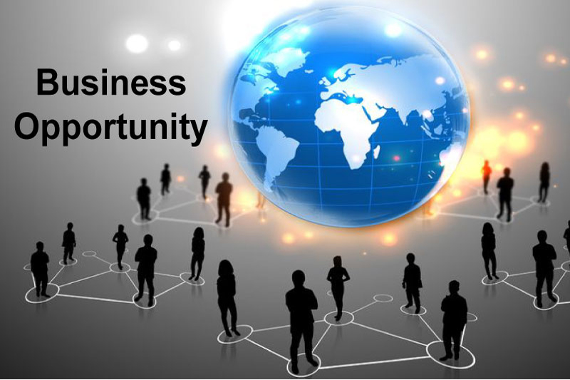 What opportunities does PCD Pharma Franchise business offer?